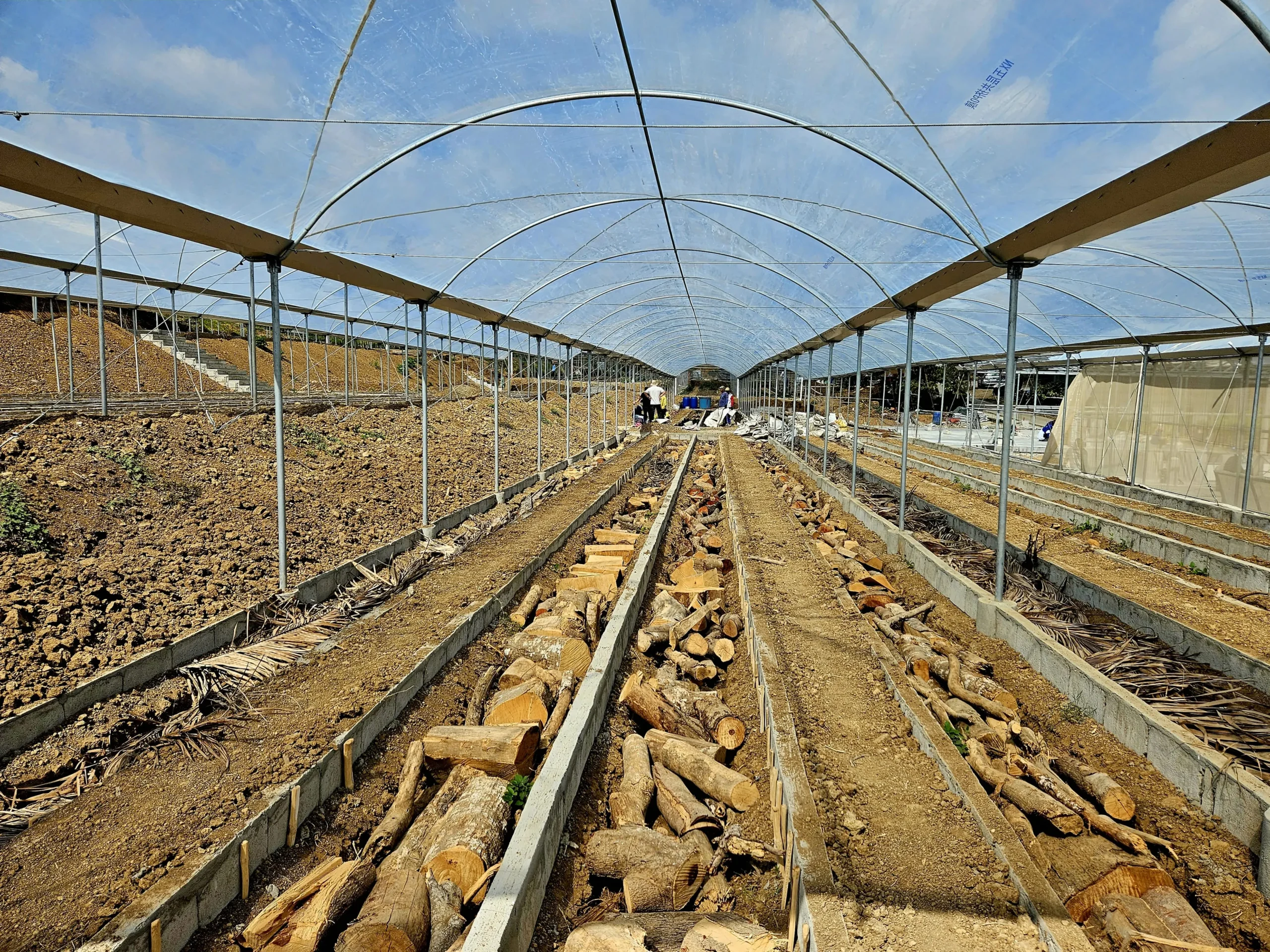 Hugelkultur 1st layer