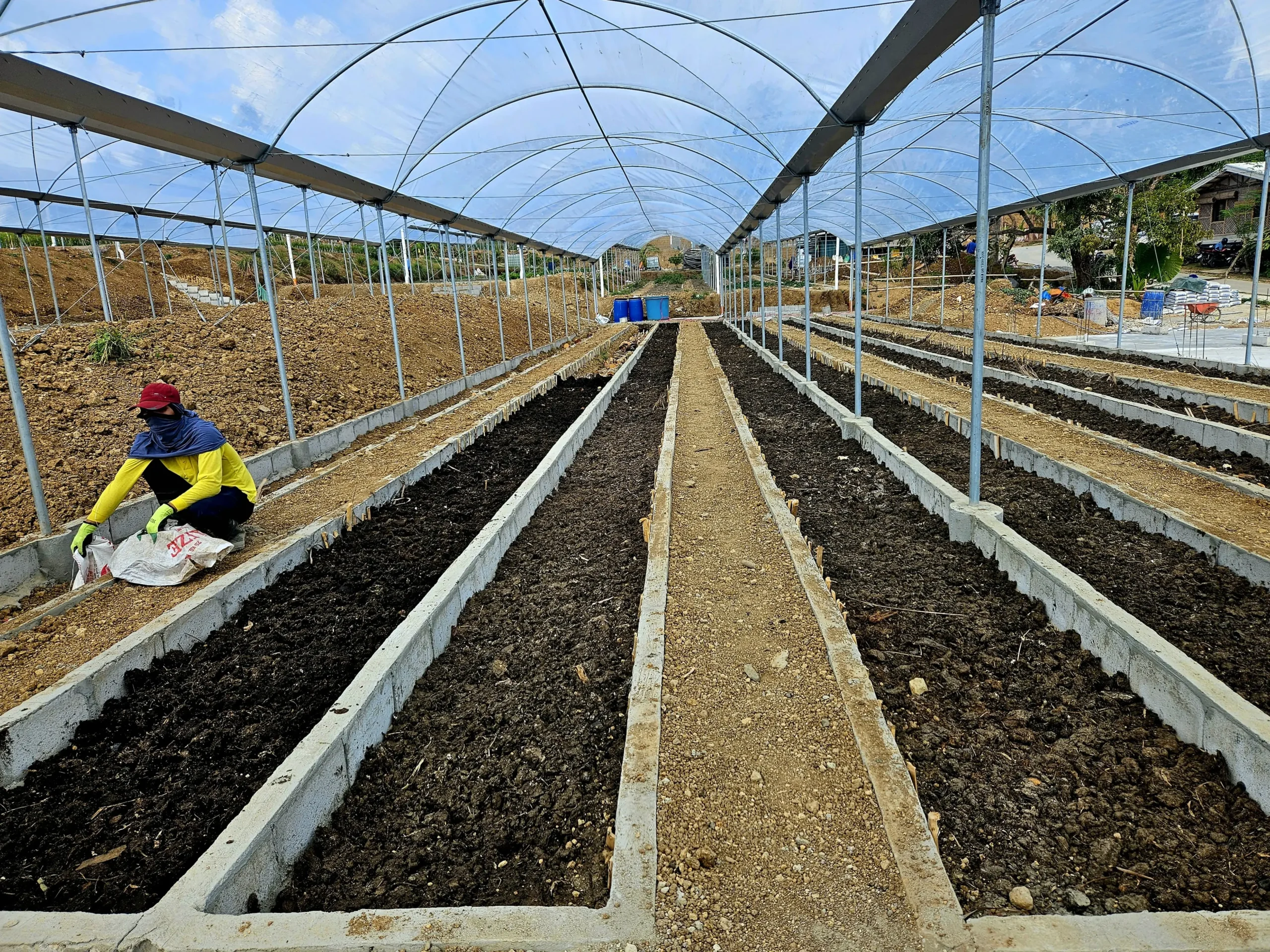 Hugelkultur 2nd layer