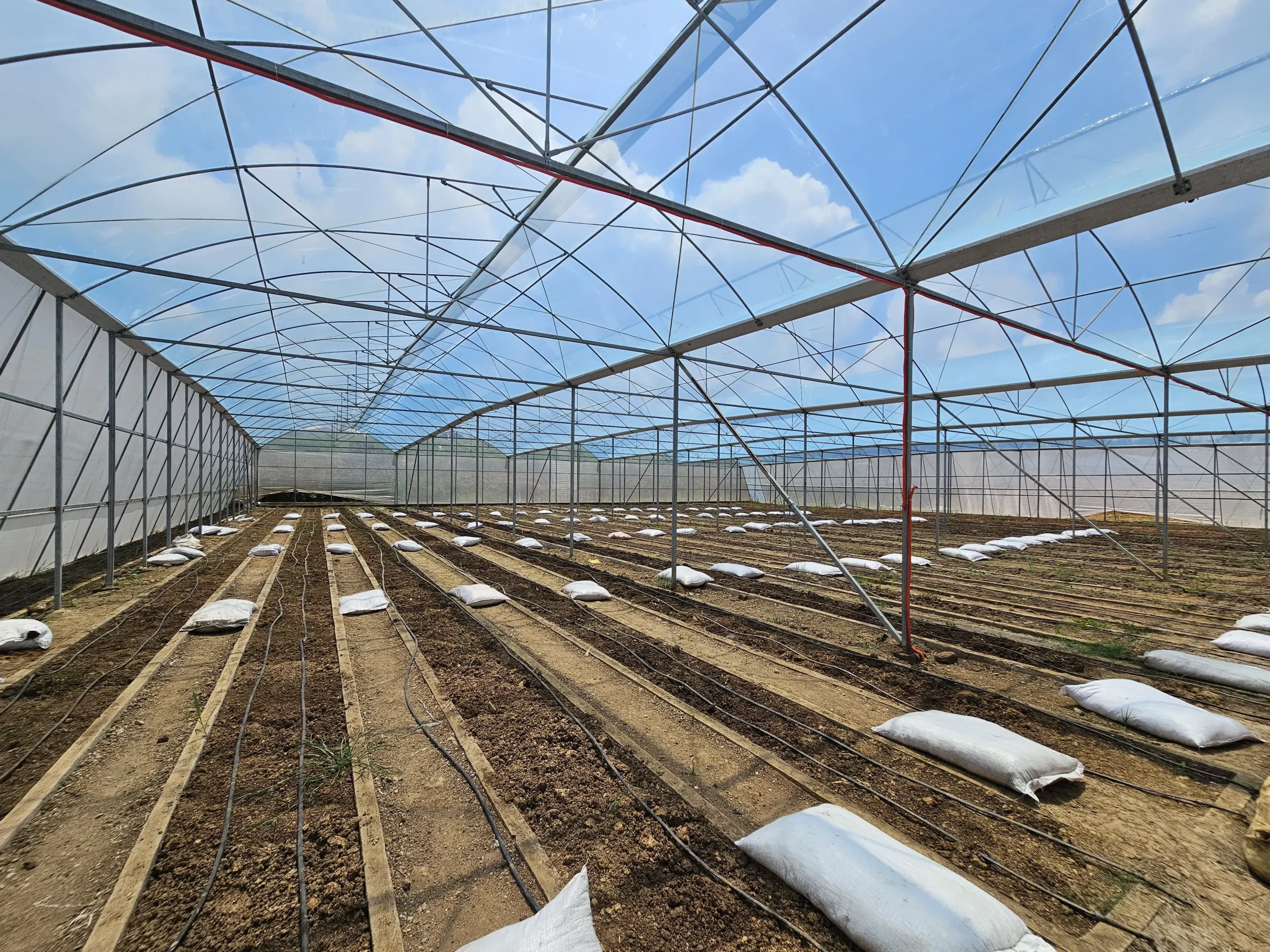 Hugelkultur 3rd layer