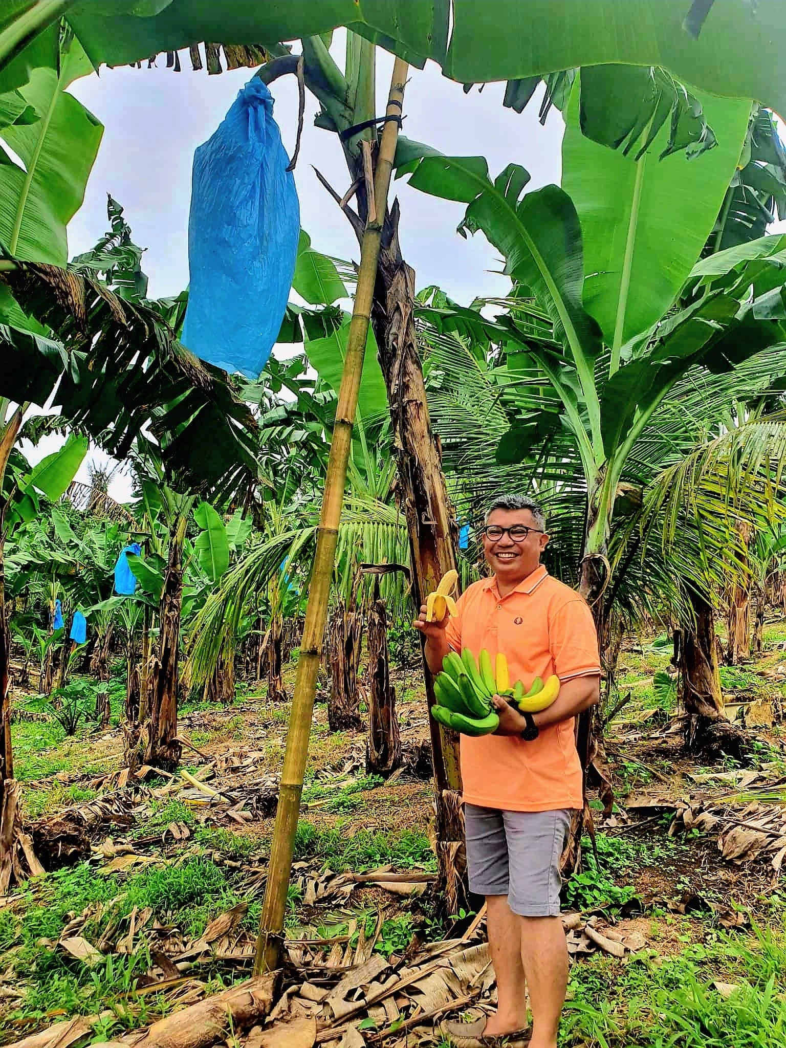 Noel eating banana in farm (1)